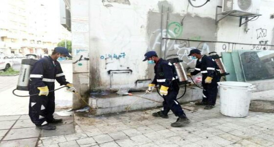 أمانة المدينة تعرب عن قلقها من عودة صراصير الليل