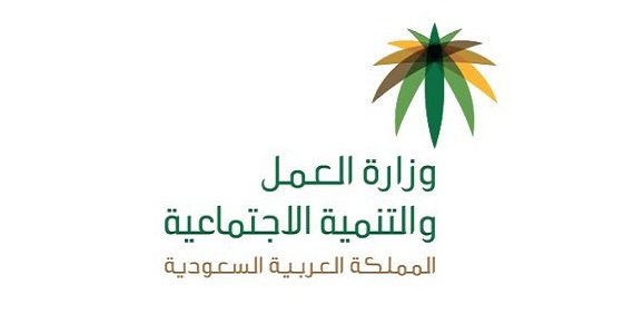 ” العمل ” تتفاعل مع فيديو تعنيف أم لابنتها بسبب السناب شات