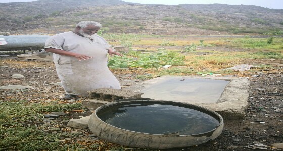 بالصور.. عسكري متقاعد يتفرغ لسقيا وإعاشة الطيور بمحايل