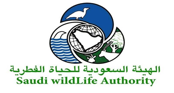 وظائف شاغرة في الهيئة السعودية للحياة الفطرية بالرياض