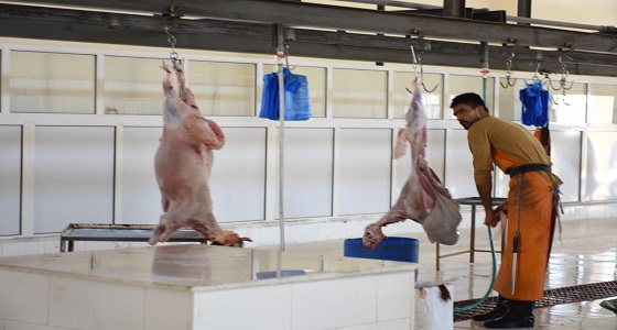 بلدية محافظة طريف تبدأ بالتشغيل الأولي التجريبي لمشروع ” مسلخ البلدية “