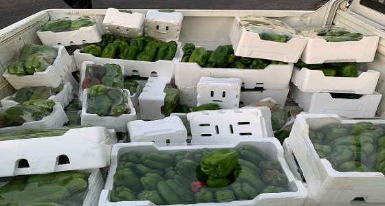 ضبط كمية من الفلفل البارد تحتوي على مبيدات ضارة