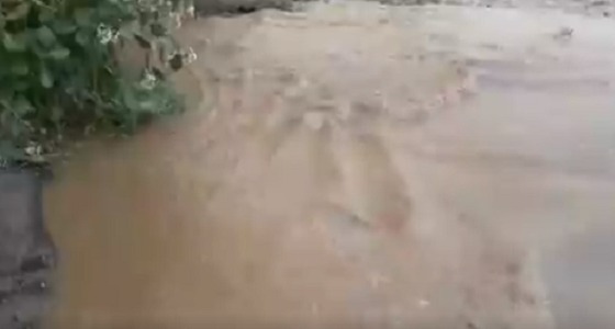 بالفيديو.. هطول أمطار على بطحان بجازان