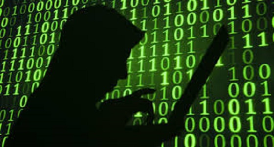 تحذيرات من زيارة ” جنة القراصنة ” بعد انتشارها بالأماكن العامة