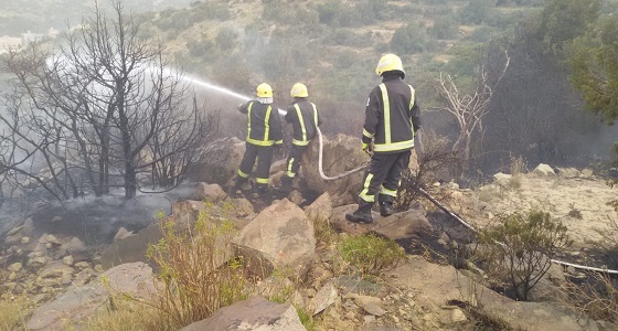بالصور.. حريق في أشجار طلح وعرعر بالنماص