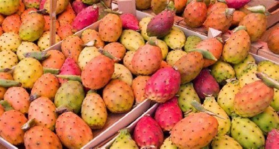 أضرار تجهلينها عن التين الشوكي