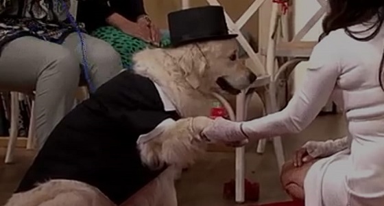 بالفيديو.. زواج امرأة من كلبها على الهواء بعد 4 علاقات غرامية فاشلة 