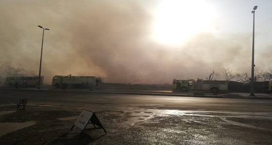 اندلاع حريق في مجموعة أشجار بارض فضاء بحي الوزيرية