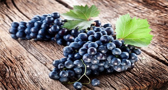 ” يحارب السرطان ” .. فوائد عديدة للعنب الأسود