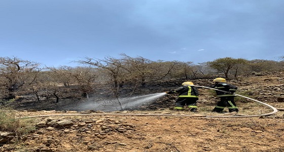 بالصور.. اندلاع حريق في مجموعة أشجار بوادي الشولان بحداد بني مالك