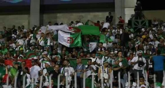 خلال ساعات قليلة.. مطار القاهرة يستقبل 1550 مشجعا جزائريا