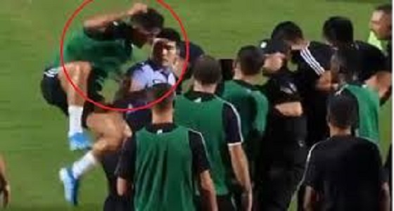 بالفيديو.. رونالدو يهاجم شرطي ويضربه بكتفه من أجل أحد المشجعين