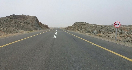فقدان أربعيني بالرين