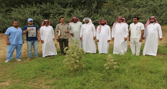 ” البيئة ” تنجح في مكافحة ديدان عضوية غير ضارة في قرى محافظة العارضة