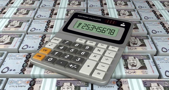 إيداع الدفعة العشرين من حساب المواطن بعد 6 أيام