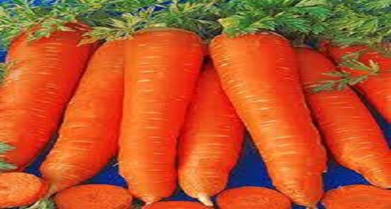 الجزر يعالج السيلوليت ويجدد الأنسجة