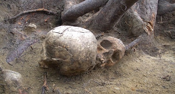 بالصور.. تعليق المجرمين في سلاسل لسنوات طريقة الإعدام قبل 500 عام