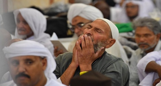 الراحة والسكينة يجدها الزائر في المدينة المنورة ” صور “