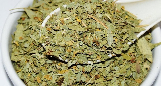 ” الطب البديل ” يحذر من استخدام عشبة ” السنامكي ” في 4 حالات