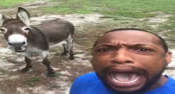 بالفيديو.. حمار يشارك مع مطرب أمريكي غناء تتر فيلم ” الأسد الملك ” 