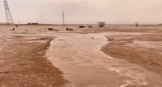 بالفيديو.. سقوط أمطار غزيرة بمحافظة الدلم جنوب الخرج