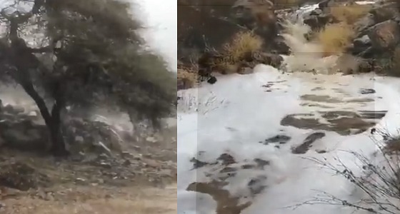 بالفيديو.. مشهد جمالي لبردية الفقرة وشلالات الأمطار غرب المدينة المنورة
