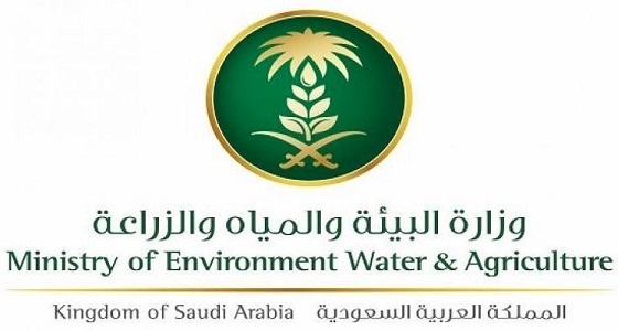 ” البيئة ” تطرح فرصة استثمارية لإنتاج تقاوي البطاطس وإكثارها بـ 85 مليون ريال