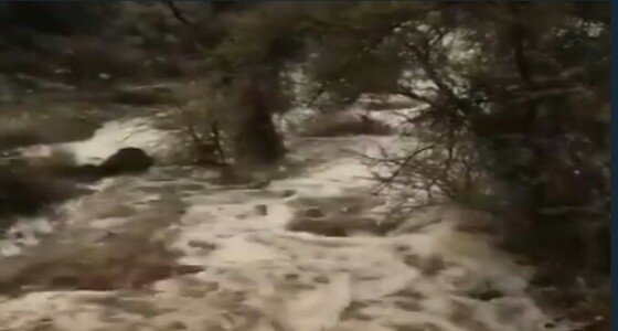 بالفيديو.. تدفق أمطار &#8221; الخشنا &#8221; بغزارة بمحافظة الحرجة