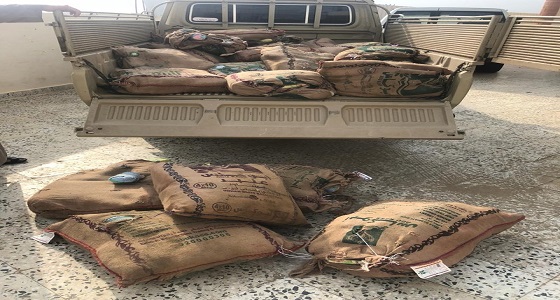 إحباط تهريب 700 حزمة من القات بـ ” الداير “