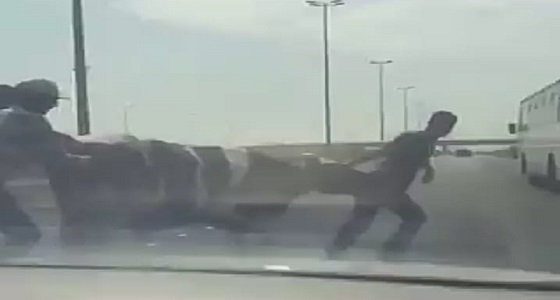 بالفيديو.. سقوط بقرة على طريق حيوي سريع بدولة خليجية
