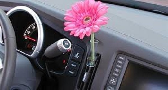 دراسة حديثة.. رائحة الورد تقلل حوادث السيارات بنسبة 64% 
