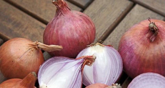 ” البصل ” يحمي الإنسان من الإصابة بالسرطان