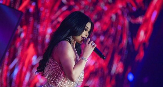 بالفيديو.. تصرف غريب من هيفاء وهبي بعد تعطل الميكروفون في حفلها