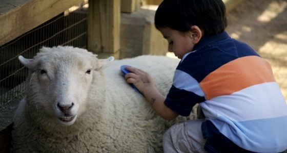 متخصصة تحذر من رؤية الأطفال لعمليات ذبح الأضحية في عيد الأضحى