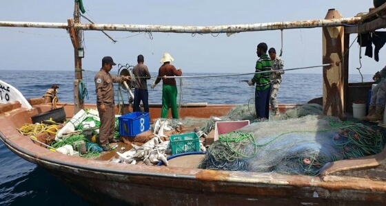 بالصور.. ضبط قوارب صيد مخالفة لاستخدامها الشباك النايلون في جزيرة ” فرسان “