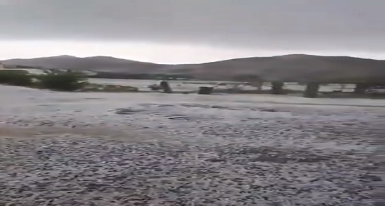 بالفيديو.. هطول الأمطار والثلوج على وادي البيح بأبها