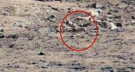 بعد اكتشاف تابوت فرعوني على المريخ.. خبير: ” باريدوليا “