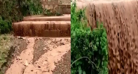 بالفيديو.. أمطار غزيرة وشلالات في جازان