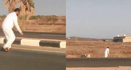 مواطن ينقذ طائر وصغاره من دهس المركبات (فيديو)
