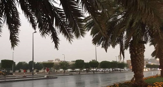 &#8221; الأرصاد &#8221; تحذر من أمطار رعدية على المدينة المنورة