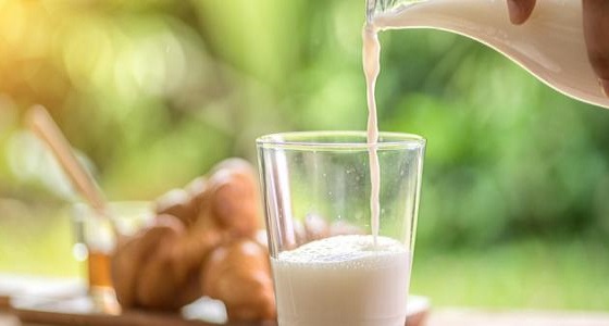 منها ” خالي الدسم ” .. 4 خرافات بددها العلماء عن الحليب