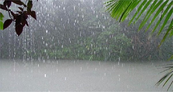 رياح وأتربة وأمطار رعدية على 4 مناطق