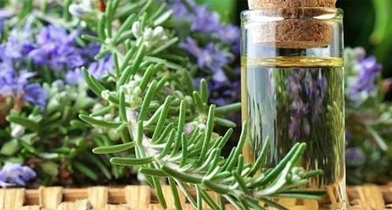 بينها النعناع واللافندر.. زيوت تساعد في علاج الكسور