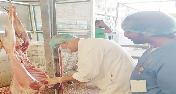 أمانة مكة ترفع الطاقة الاستيعابية لـ5 مسالخ و8 وحدات ذبح 