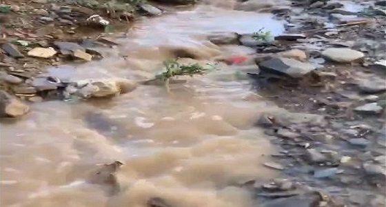 بالفيديو.. لحظة تساقط الأمطار على بعض مناطق الباحة