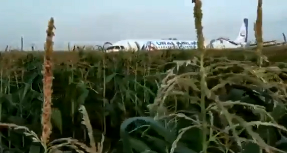 بالفيديو.. إصابة 10 أشخاص إثر اشتعال محرك طائرة ركاب روسية