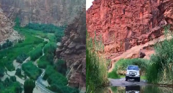 مشهدًا مبهجًا لجمال الطبيعة في وادي الديسة بتبوك (فيديو)