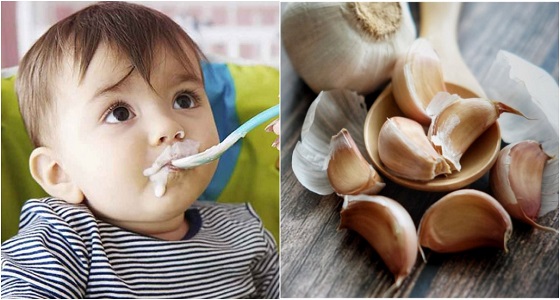 دراسة حديثة تكشف عن فوائد إطعام الثوم للأطفال