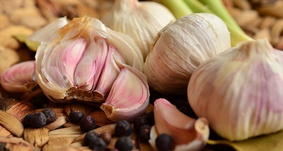 دراسة طبية : تناول البصل والثوم يقي السيدات من أمراض خطيرة