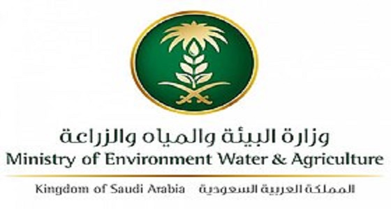 موعد إجراء المقابلات الشخصية لوظائف وزارة البيئة